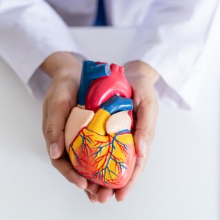 Pulizia del Sangue e del Sistema Linfatico